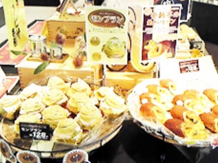 未経験からでも安心して始められます。