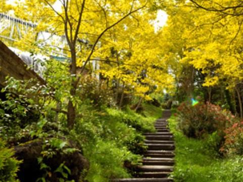 四季折々の花々や紅葉などをお楽しみいただける大自然園。