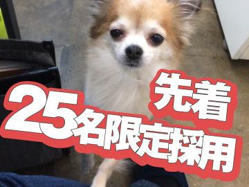 お友達をご紹介していただくと最大1万円プレゼント！