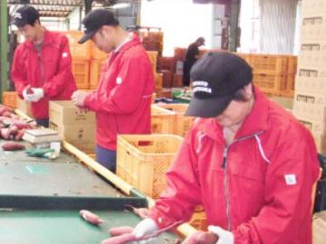 入社から3カ月位までは工場研修があります。