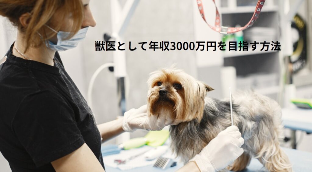 獣医として年収3000万円を目指す方法の画像